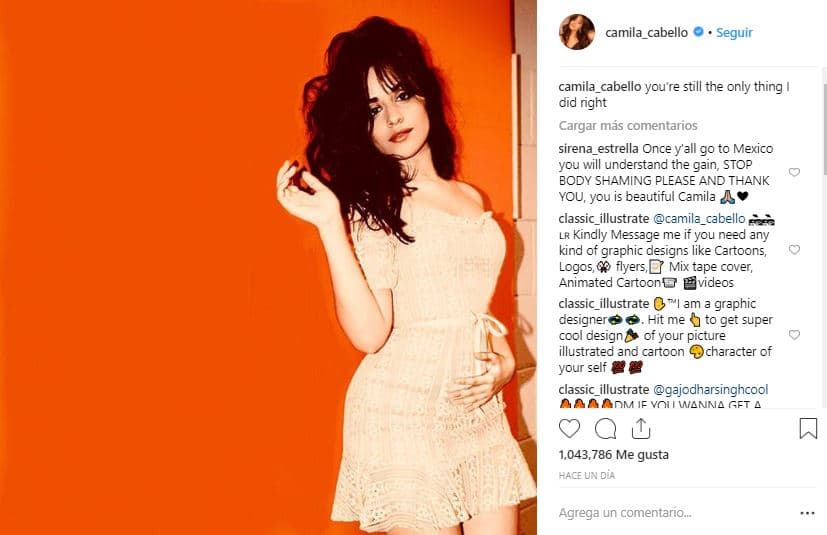 Esta es la polémica fotografía bajo la cual la cantante escribió: "Tú sigues siendo lo único que hice bien", con lo que Camila desató la locura entre sus fans.