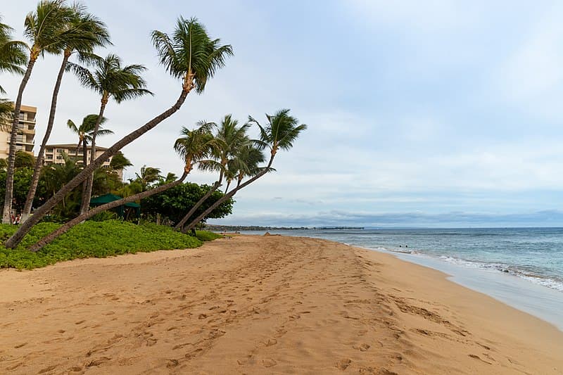 <b>Puesto 10: Ka'anapali Beach (Lahaina, Hawai)</b>
<br>
<br>"Siempre hermosa. Hermoso océano, playa y mucho espacio para caminar y bucear. ¡Siempre nuestro lugar para encontrar nuestra paz!", reseñó una usuaria.