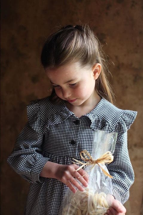 De acuerdo con información de la revista 
<a href="https://www.hellomagazine.com/fashion/royal-style/2020050189125/princess-charlotte-dress-fifth-birthday-outfit/" target="_blank">Hello!</a>, en los retratos la princesa luce un vestido de la marca Zara.
<br>