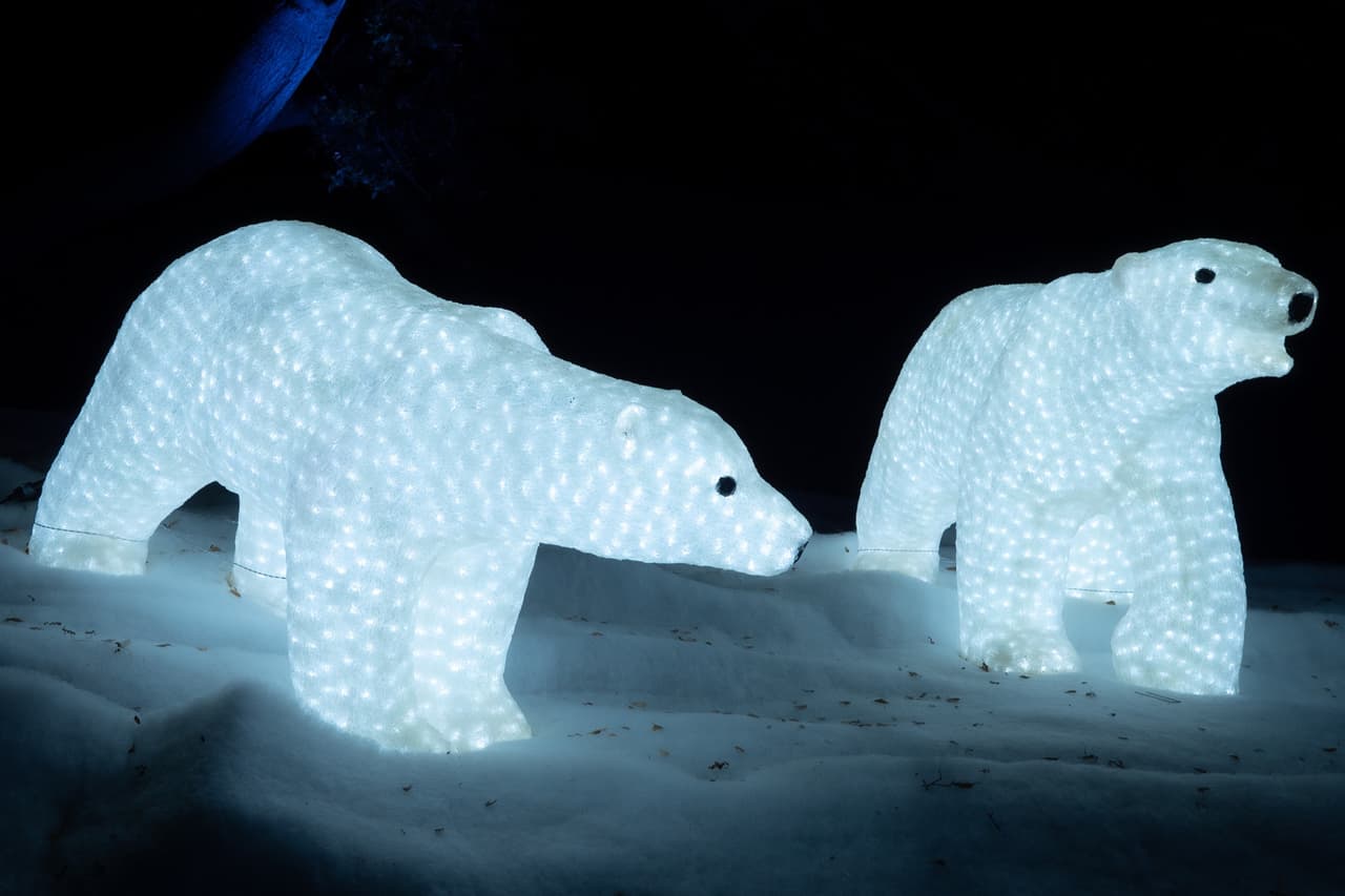 La experiencia Holiday Road en Atlanta se lleva a cabo en The Horse Mansion en Bouckaert Farm: 10045 Cedar Grove Road, Fairburn. Conoce más del evento, 
<b><a href="https://holidayroadusa.com/location-atl/?gclid=Cj0KCQiAhf2MBhDNARIsAKXU5GSPtyKgIah1DXrDA92Ma6MH35tf6EsyQ-rs4_61HoUuiaXzJfKUI9kaApMPEALw_wcB" target="_blank">aquí</a></b>.