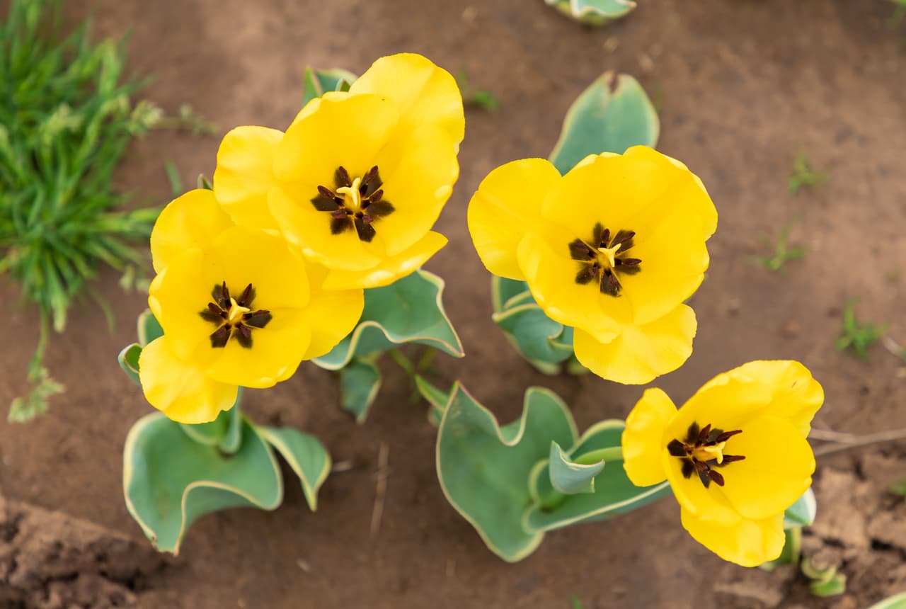 Especialmente ahora que se acercan las vacaciones de primavera.
<br>