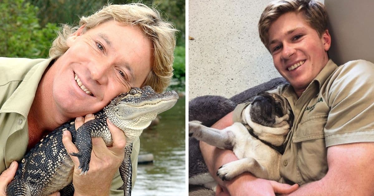 Robert Irwin, hijo del cazador de cocodrilos, fue perseguido por un caimán de casi 13 pies