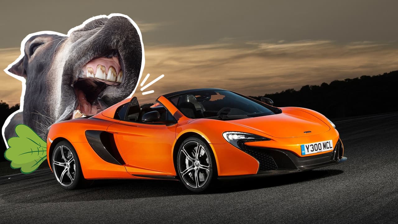 Burro confunde auto de 350,000 dólares con zanahoria gigante