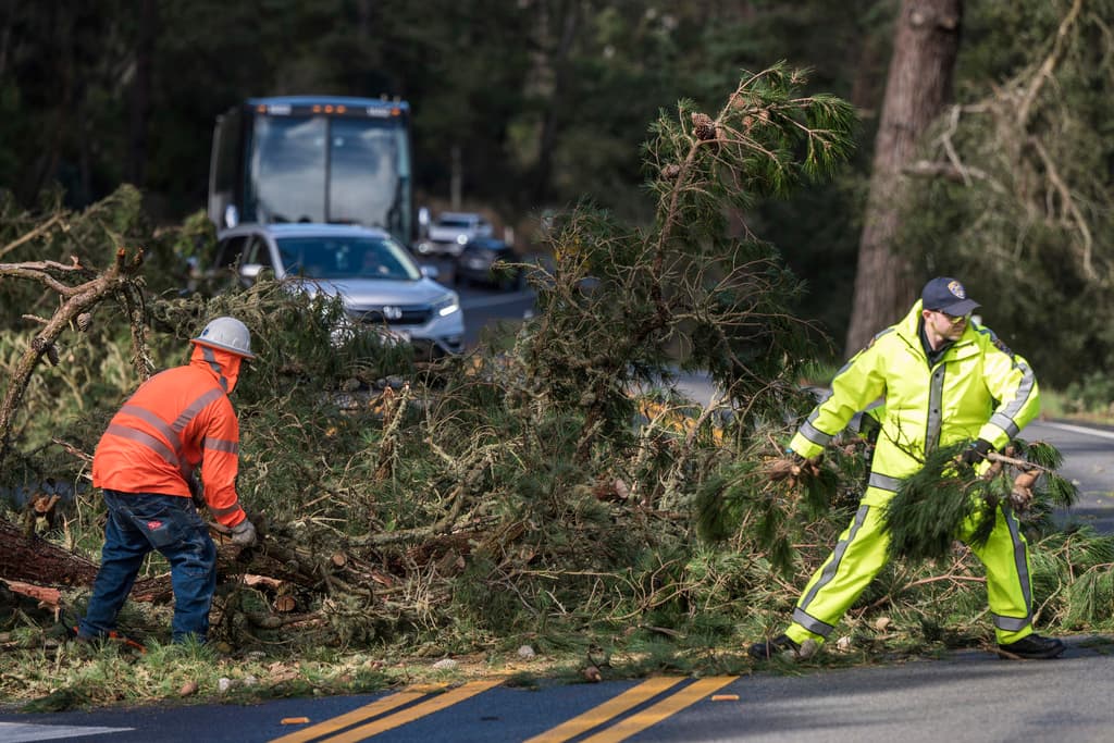 Equipos de limpieza de árboles caídos el domingo 4 de febrero de 2024 en Monterey, California. California se preparaba el domingo para lo peor de una tormenta potencialmente peligrosa que amenazaba con azotar partes del estado con vientos huracanados y provocar inundaciones y deslizamientos de tierra a medida que avanza. la costa durante los próximos días. (Foto AP/Nic Coury)