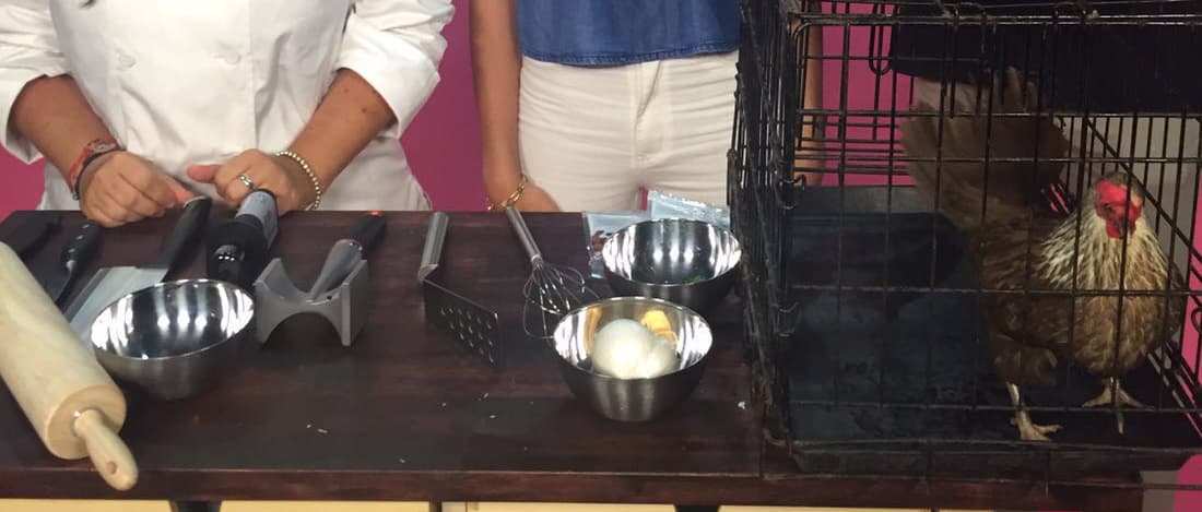 Procura que se porte bien durante la transmisión.