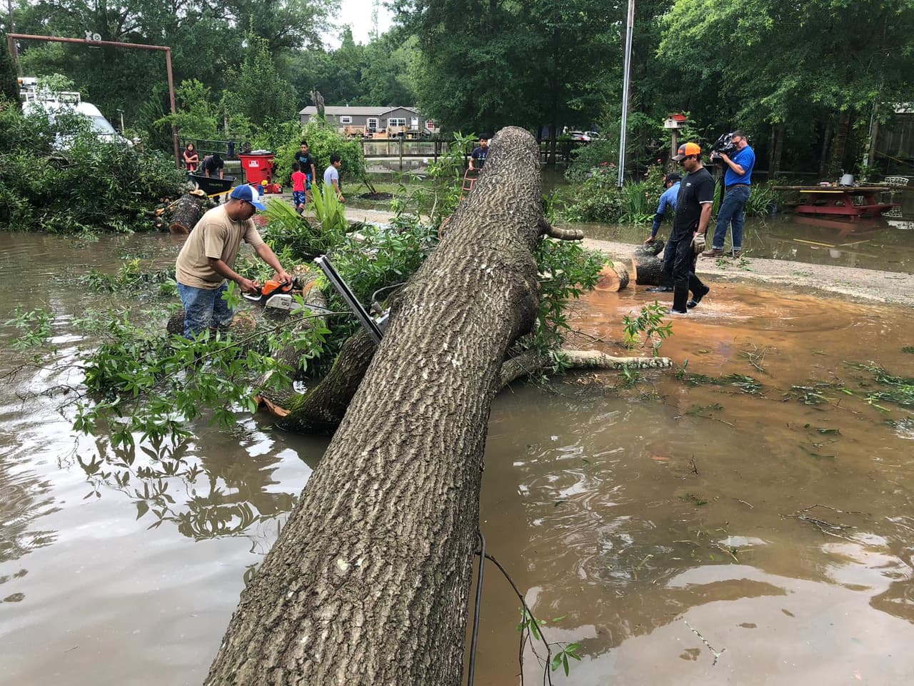 En esta área no llovió mucho, pero fueron los fuertes vientos los que ocasionaron problemas en el vecindario y ahora están en el proceso de limpieza.