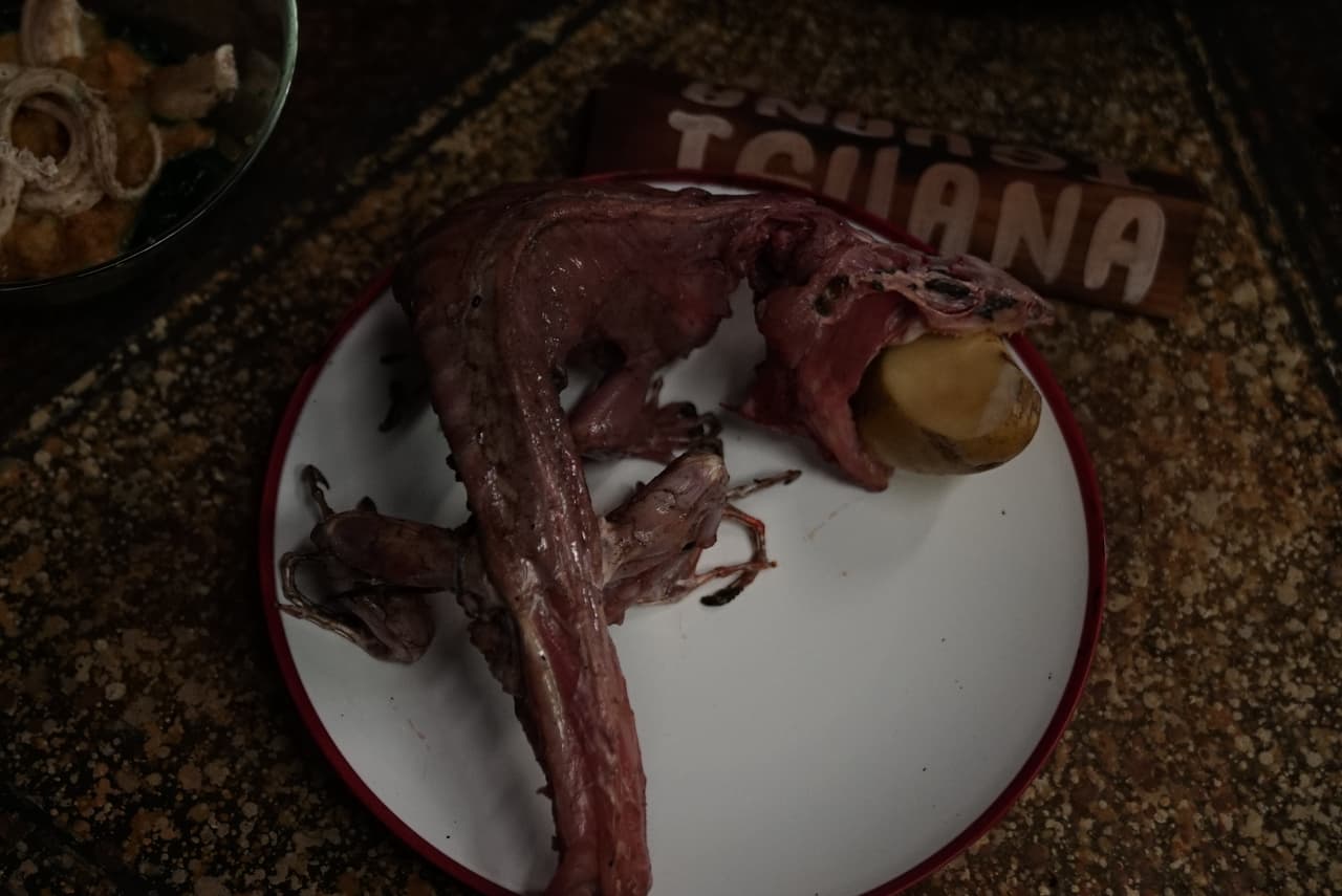 La Iguana asada con papa también la degustaron.