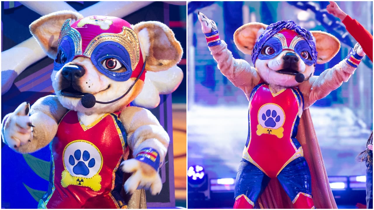 Huesito Peligroso es finalista de ¿Quién Es La Máscara? 2024