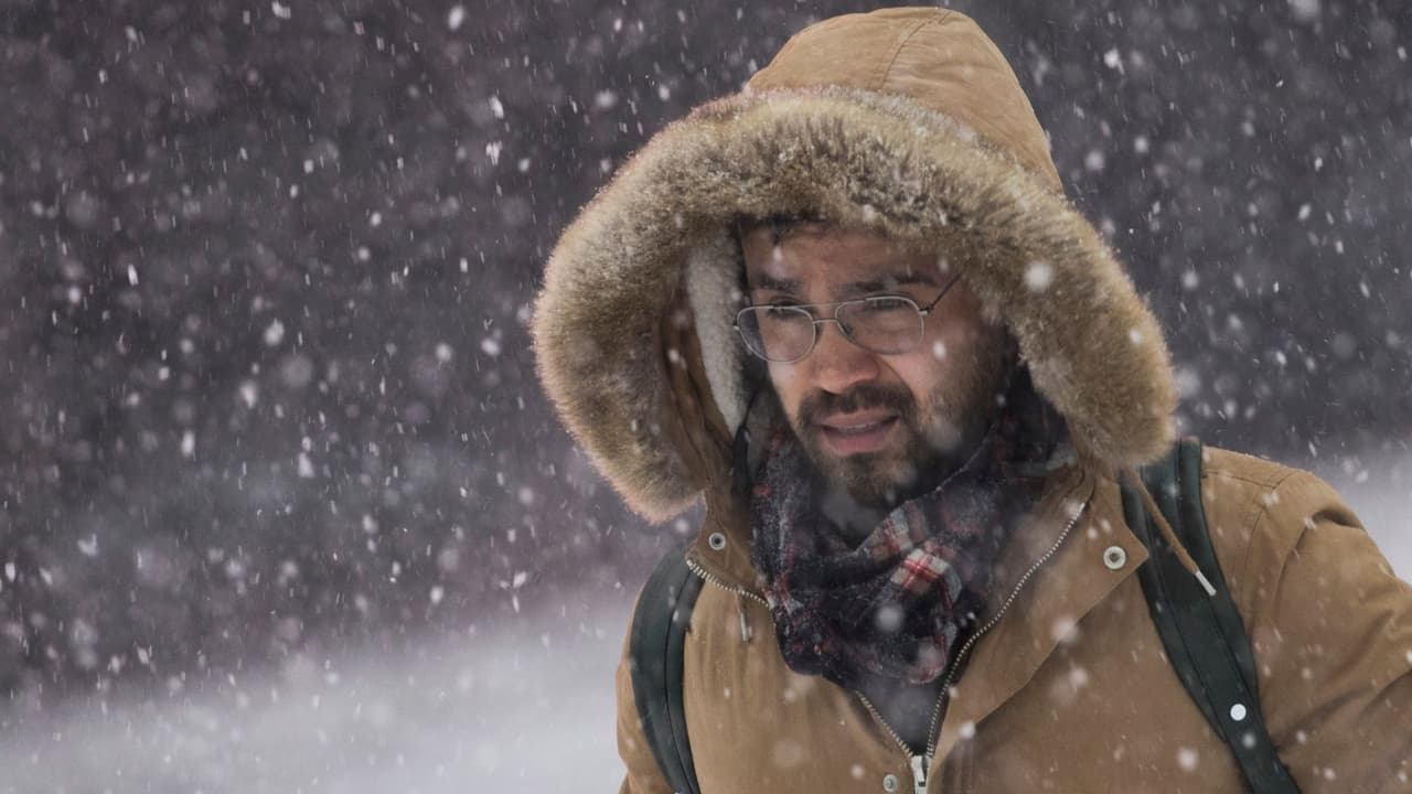 Ola de frío ártico provocará temperaturas récord en gran parte de EEUU: ¿qué zonas afectará?