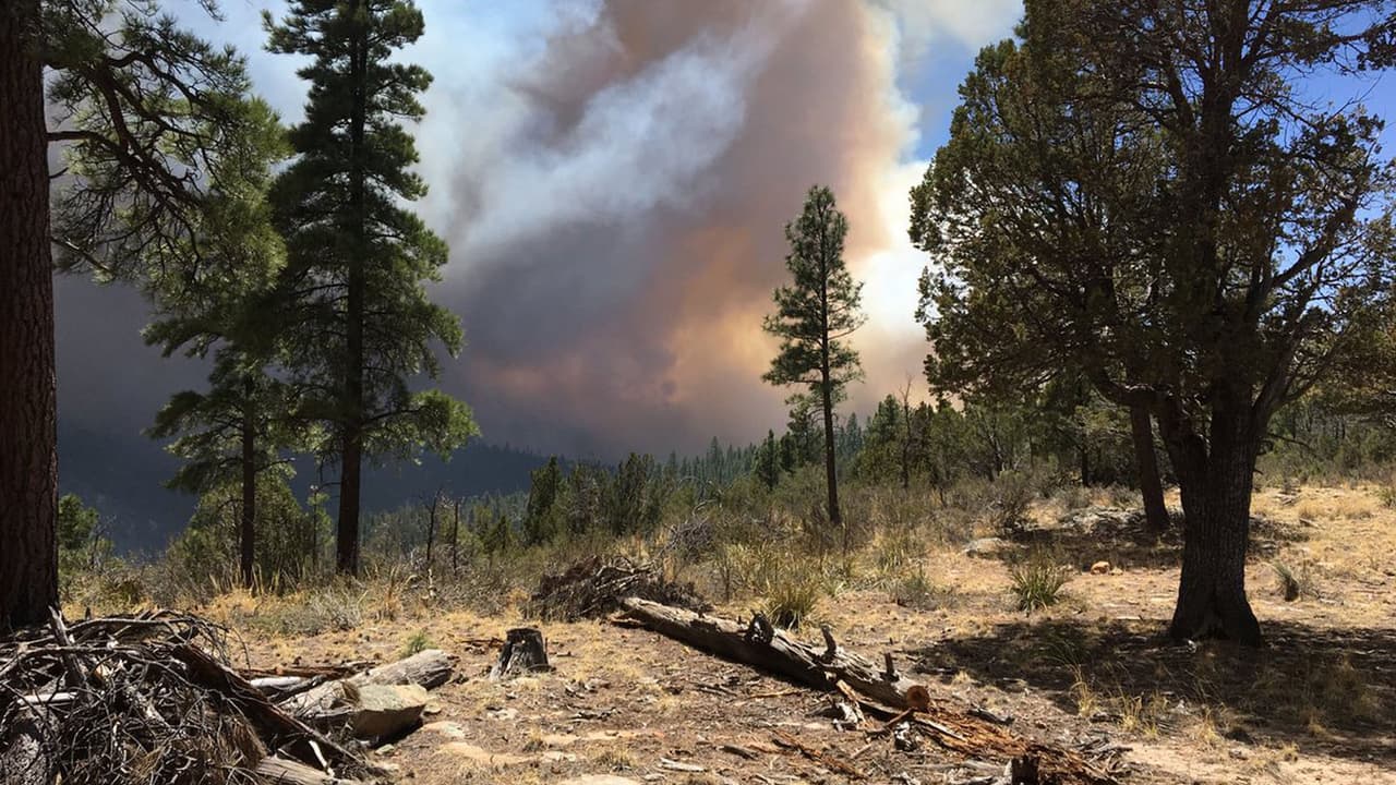Ordenan evacuaciones en el norte de Arizona por voraz incendio que consume más de 8,000 acres