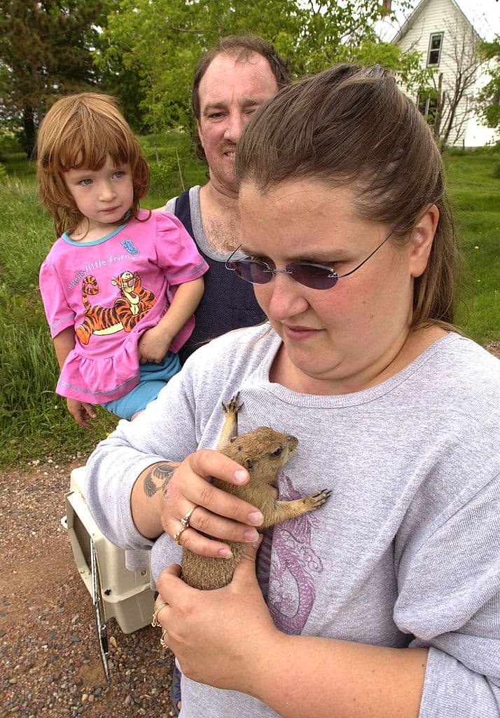 <b>¿Qué signos y síntomas se observaron en las mascotas?</b>
<br>Fiebre, tos, secreción de los ojos y agrandamiento de los ganglios linfáticos. Los animales parecían estar muy cansados y no comían ni bebían. 
<br>
<br>Algunos de estos animales infectados murieron. 
<br>