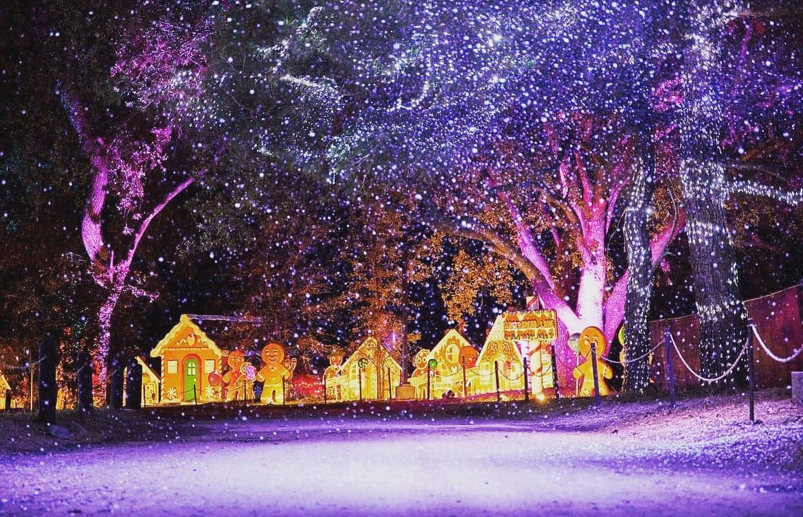 <b>Holiday Road:</b>
<br>La experiencia incluye enormes exhibiciones e innumerables luces navideñas. Papá Noel, la Sra. Claus, duendes y miles de bastones de caramelo. También incluirá pintura facial, villancicos, un mercado de invierno, sesiones fotográficas, camiones de comida, un bar navideño, tiendas y más.
<br>
<b>Cuándo:</b> 256 de noviembre al 30 de diciembre, de 5:00 p.m. a 10:00 p.m.
<br>
<b>Dónde: </b>King Gillette Ranch 26800, West Mulholland Hwy, Calabasas, CA 91302.
<br>
<b>Precio:</b> Hay diversas atracciones con diferentes costos.