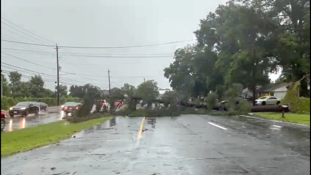 La caída de árboles sobre las vías fue una constante en toda la región del DMV, especialmente en Maryland.