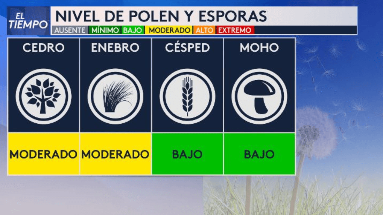 Estos son los niveles de polen y esporas durante el día.
