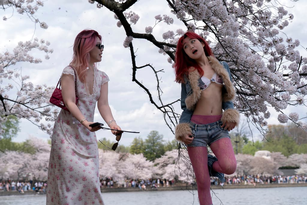 Las condiciones del tiempo no frenaron a los visitantes para inmortalizar momentos con los 'cherry blossoms'.