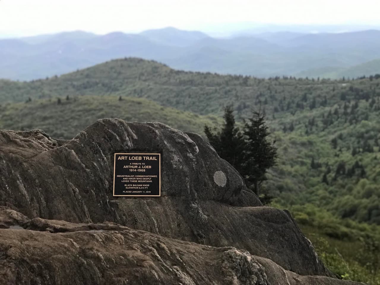 <b>Art Loeb Trail (Brevard)</b>
<br>
<b>Sitio web</b>: 
<a href="https://www.fs.usda.gov/recarea/nfsnc/recarea/?recid=48122">https://www.fs.usda.gov/recarea/nfsnc/recarea/?recid=48122</a> 
<br>
<b><a href="https://goo.gl/maps/tfEJqQVmdYRc9R4i7">Cómo llegar</a> </b>
<br>
<br>El Sendero Art Loeb, llamado así por un pionero del senderismo y la conservación, une senderos en el Bosque Nacional Pisgah. Se han proporcionado refugios y otros refinamientos a lo largo de los senderos marcados, por lo que es una buena opción si está preparado para una caminata prolongada de 30 millas. Varias secciones del Art Loeb Trail son parte del sendero Mountain-to-Sea Trail de casi 1,000 millas, que se extiende desde Great Smoky Mountains hasta Outer Banks.