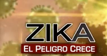 Virus del zika: Nueva York estás a tiempo de que te pique la curiosidad