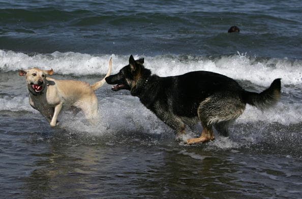Ten en cuenta que estos seis contaminantes ya se encuentran en diferentes niveles en las aguas costeras, de ríos y lagos y el objetivo es frenar el nivel de toxicidad de las aguas y cuidar tu salud y la de los tuyos.