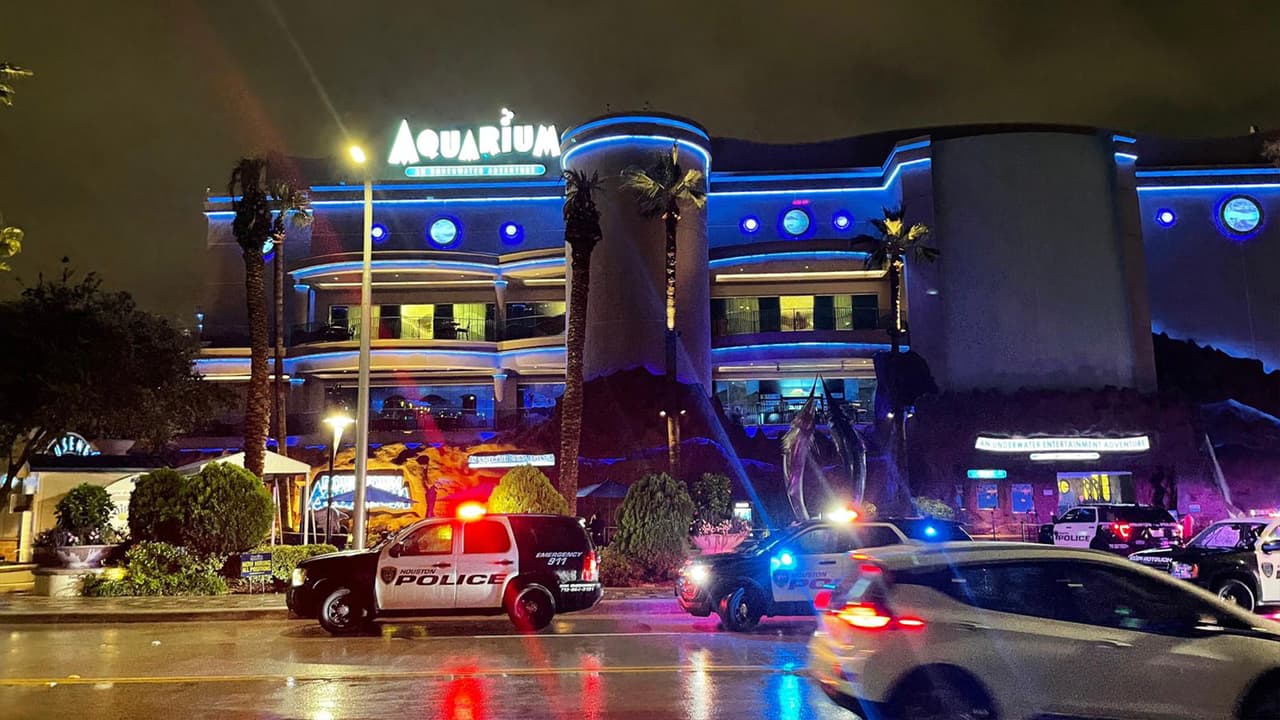 <a href="https://www.univision.com/local/houston-kxln/reportan-un-tiroteo-downtown-aquarium-houston">Dos hombres muertos y una mujer herida</a> es el saldo de un tiroteo en 
<a href="https://www.aquariumrestaurants.com/downtownaquariumhouston/" target="_blank">el acuario del centro de Houston</a>.