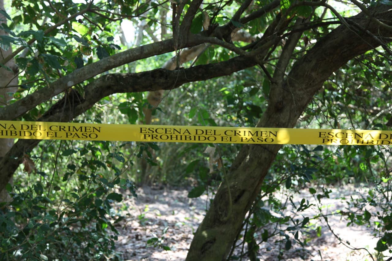 “Veracruz es una gran fosa común” afirmó el fiscal general del Estado. Días atrás 
<b><a href="http://www.univision.com/noticias/america-latina/familiares-de-desaparecidos-encuentran-en-mexico-la-fosa-clandestina-mas-grande-del-mundo">se encontró un gran cementerio clandestino en Colinas de Santa Fe, donde se hallaron al menos 253 cuerpos.</a></b> Solo dos han sido identificados en ese lugar.