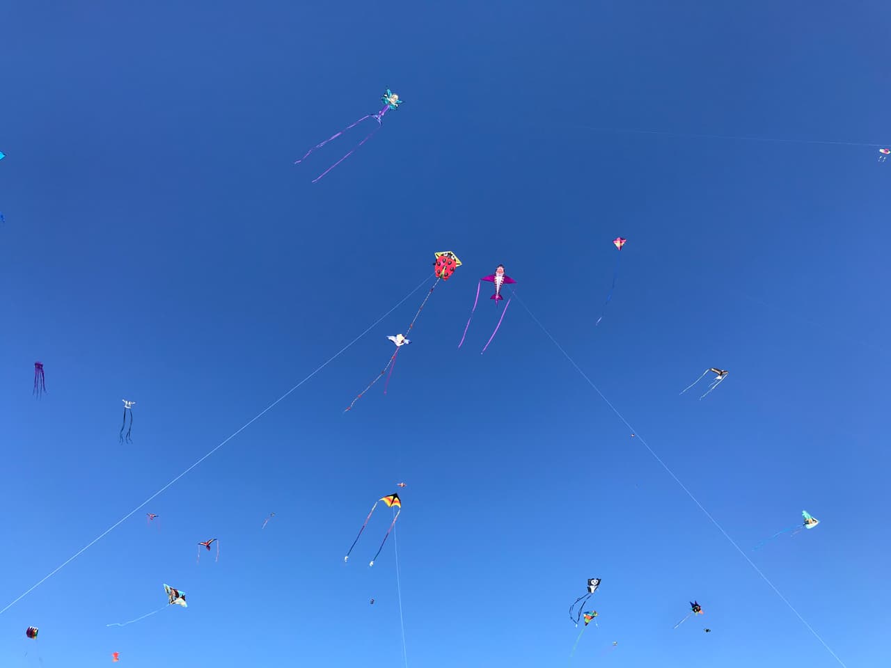 ¡Nos vemos en el próximo!