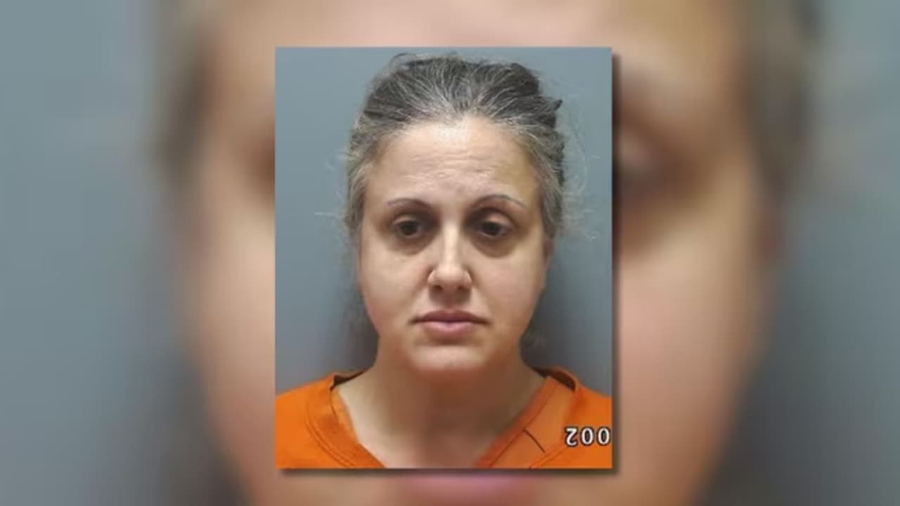 Encuentran a más de 60 gatos en malas condiciones en una casa del condado de Cherokee; la dueña fue arrestada 