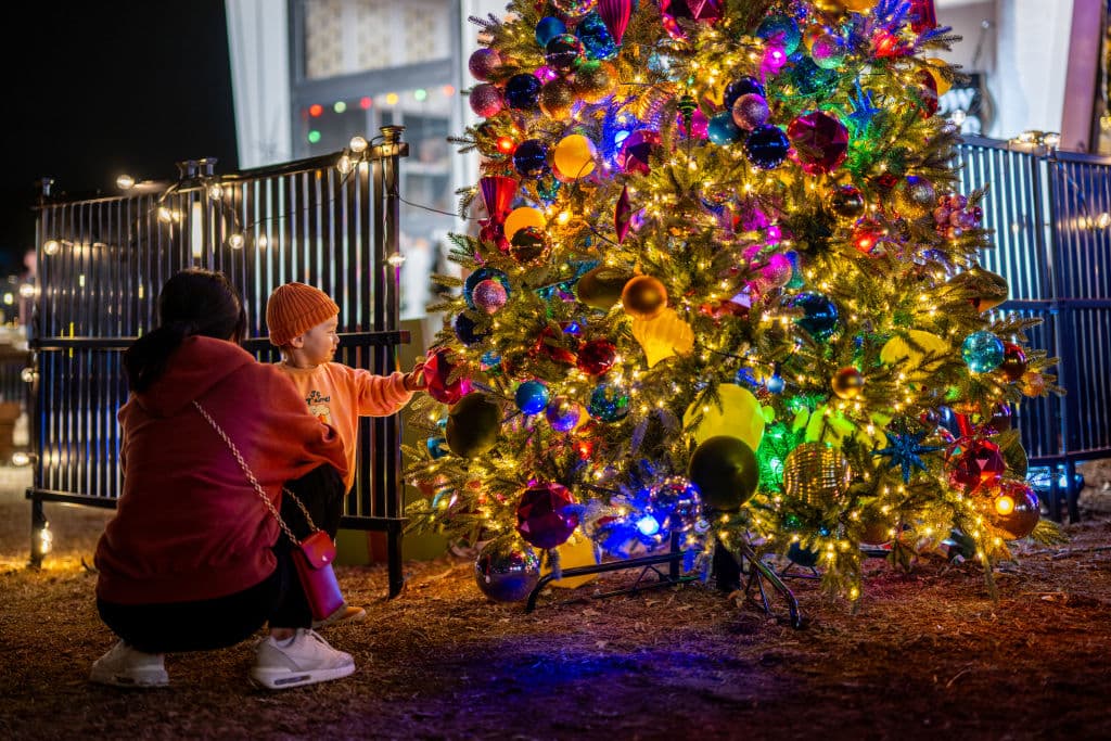 A quienes tienen árboles de Navidad naturales, David Ortiz, portavoz del Departamento de Bomberos de Los Ángeles, les recomienda ponerlos fuera de su casa 
<b><a href="https://www.univision.com/local/los-angeles-kmex/cuidado-con-los-incendios-durante-esta-navidad-consejos-para-evitar-que-las-fiestas-terminen-en-tragedia-video" target="_blank">tan pronto como el 26 de diciembre</a></b>.