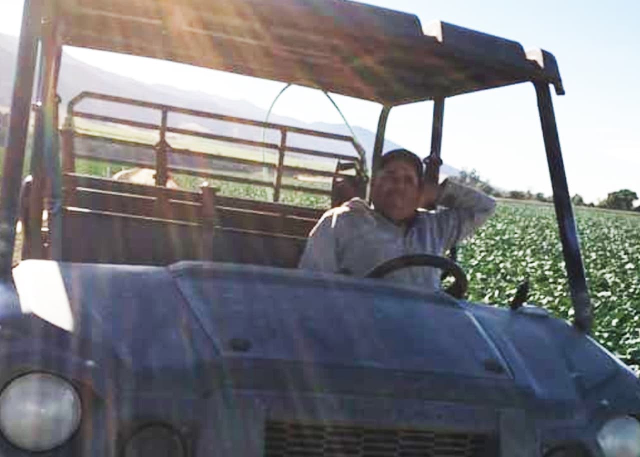 Compartida por Graciela Lara