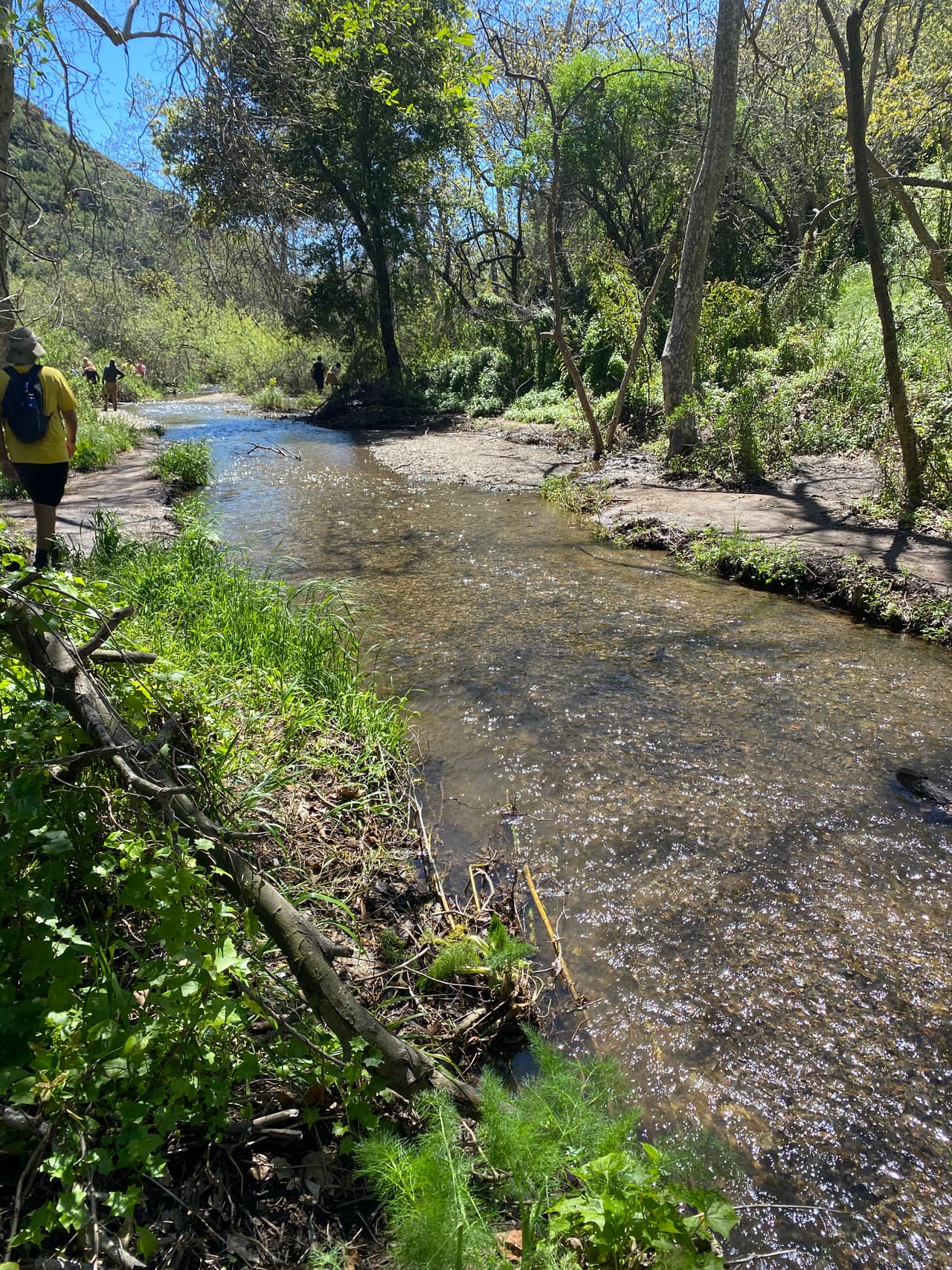 El nuevo atractivo del sendero es el pequeño río que se creó en el camino de la parte este, en el cañón de la montaña y que te acompañará gran parte del camino.