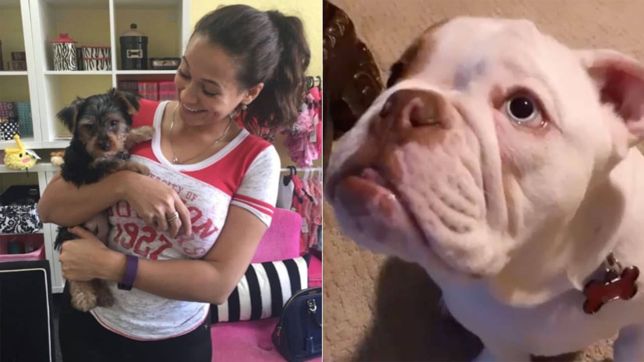 El corazón de
<b>Carla Medrano</b>, locutora de El Bueno, La Mala y El Feo, se derrite de amor por
<b>Riko</b> y recientemente, también nos presentó su nuevo cachorrito
<b>Chop</b>.