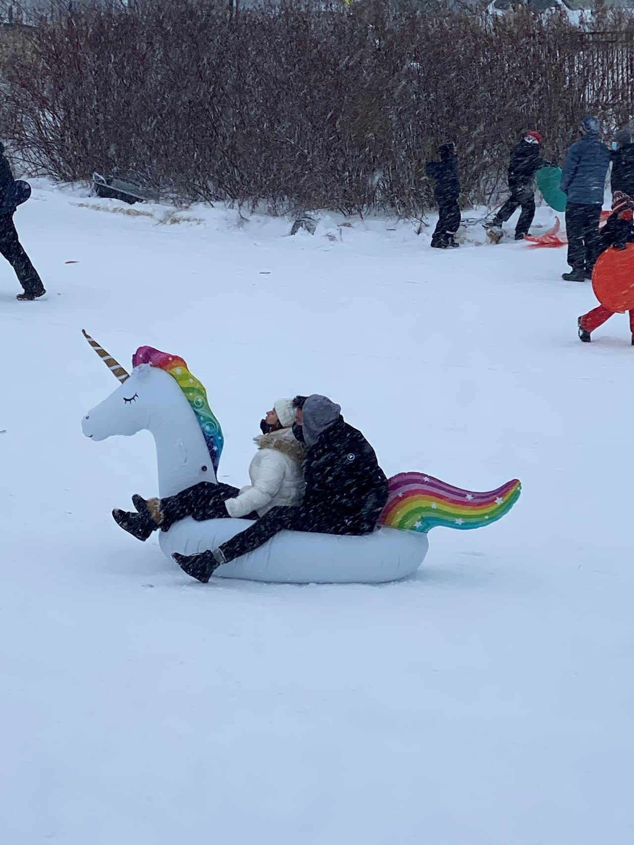 Mientras muchos limpiaban sus patios otros aprovecharon la tormenta invernal de este fin de semana para disfrutar con su familia.