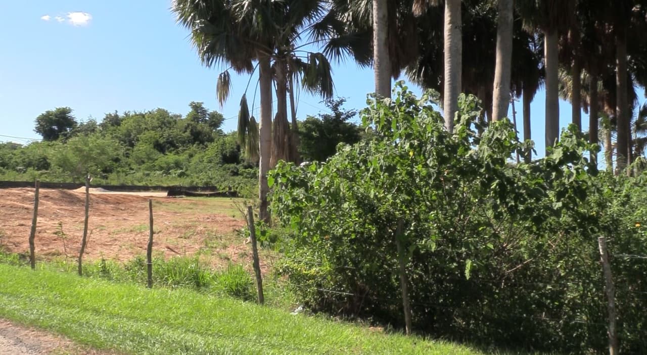 "Una docena de ellas (de 500 especies de flora y fauna) son endémicas de PR y por lo menos 8 son especies amenazadas o en peligro de extinción, incluyendo tortugas y mamíferos marinos, aves migratorias y corales amenazados."