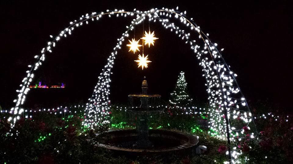 <b><a href="https://coastalbg.uga.edu/" target="_blank">December Nights & Holiday Lights at Coastal Georgia Botanical Gardens (del 26 de noviembre al 24 de diciembre)</a></b>: La joya navideña de Savannah deslumbra con más de 1 millón de luces brillantes en los jardines botánicos de la costa de Georgia durante las noches de diciembre y las luces navideñas. Ubicados a solo 10 millas del centro de Savannah, estos jardines botánicos en una histórica granja de bambú son un espectáculo digno de contemplar durante el día.