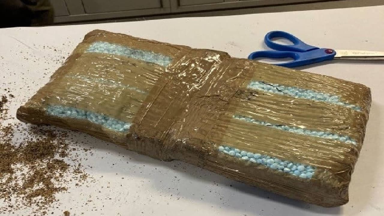 Según reportes, oficiales y la unidad canina realizaron una parada de tráfico donde encontraron en el auto
<b>4 paquetes</b> que contenían alrededor de
<b>50,000 píldoras, las cuales se sospechan eran de fentanilo. </b>