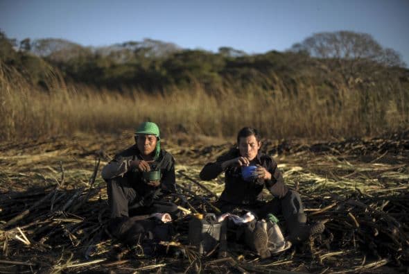 Desde entonces, la caña de azúcar se cultiva en el país a pequeña escala.