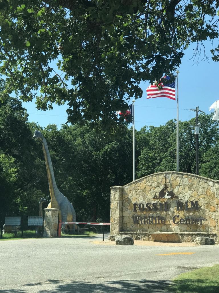 El centro Fossil Rim Wildlife Center al oeste de Fort Worth ofrece una exhibición de animales salvajes.
