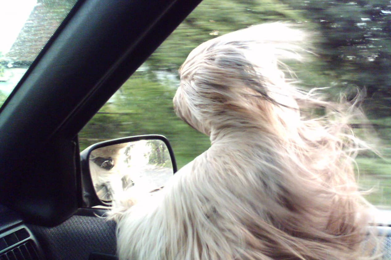 No importa cuán rudo luzca, ¡no hay manera de eliminar su ternura!