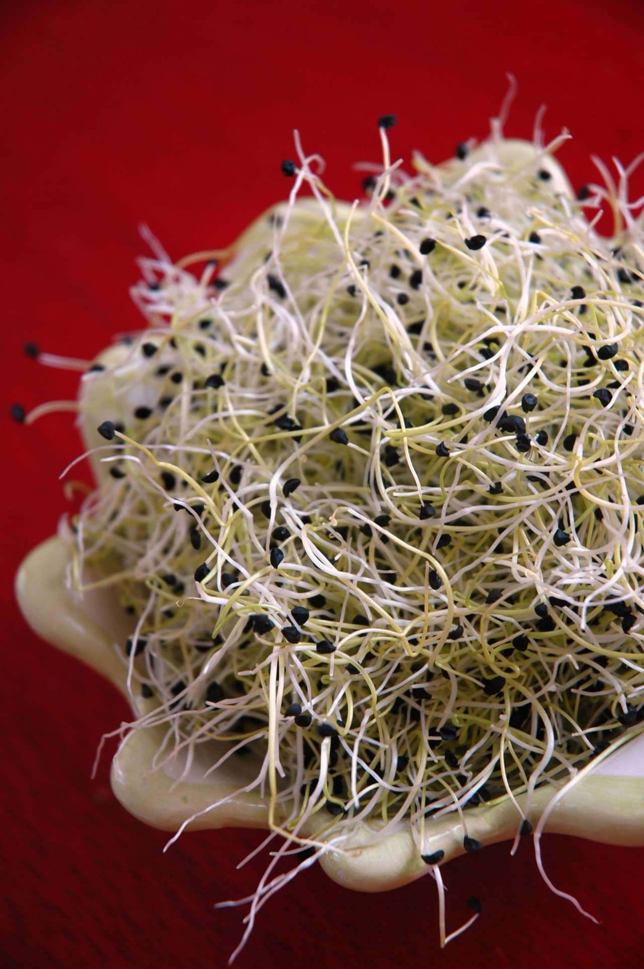 Los famosos que siguen esta filosofía de vida deben comer tres veces al día y beber agua mineral entre cada una.