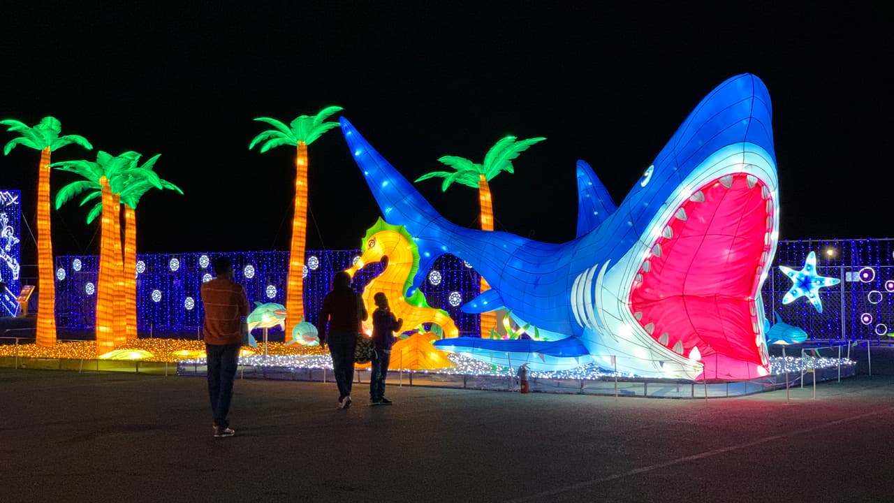 <a href="https://www.univision.com/local/houston-kxln/llega-a-houston-magical-winter-lights-el-gran-espectaculo-de-luces-navidenas-video">Magical Winter Lights</a> ofrece una serie de entretenimiento, con atracciones y carnaval en un solo lugar.