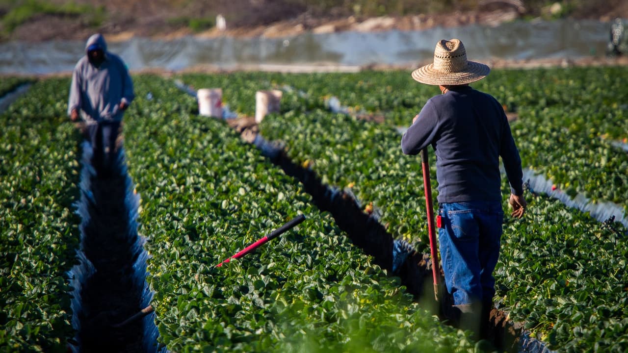 Entre los beneficios que tiene Connecticut a sus trabajadores es que proporciona “alguna forma de protección contra el acoso sexual en la ley estatal”. También extiende los mandatos de 
<b>compensación laboral a los trabajadores agrícolas.</b>
<br>