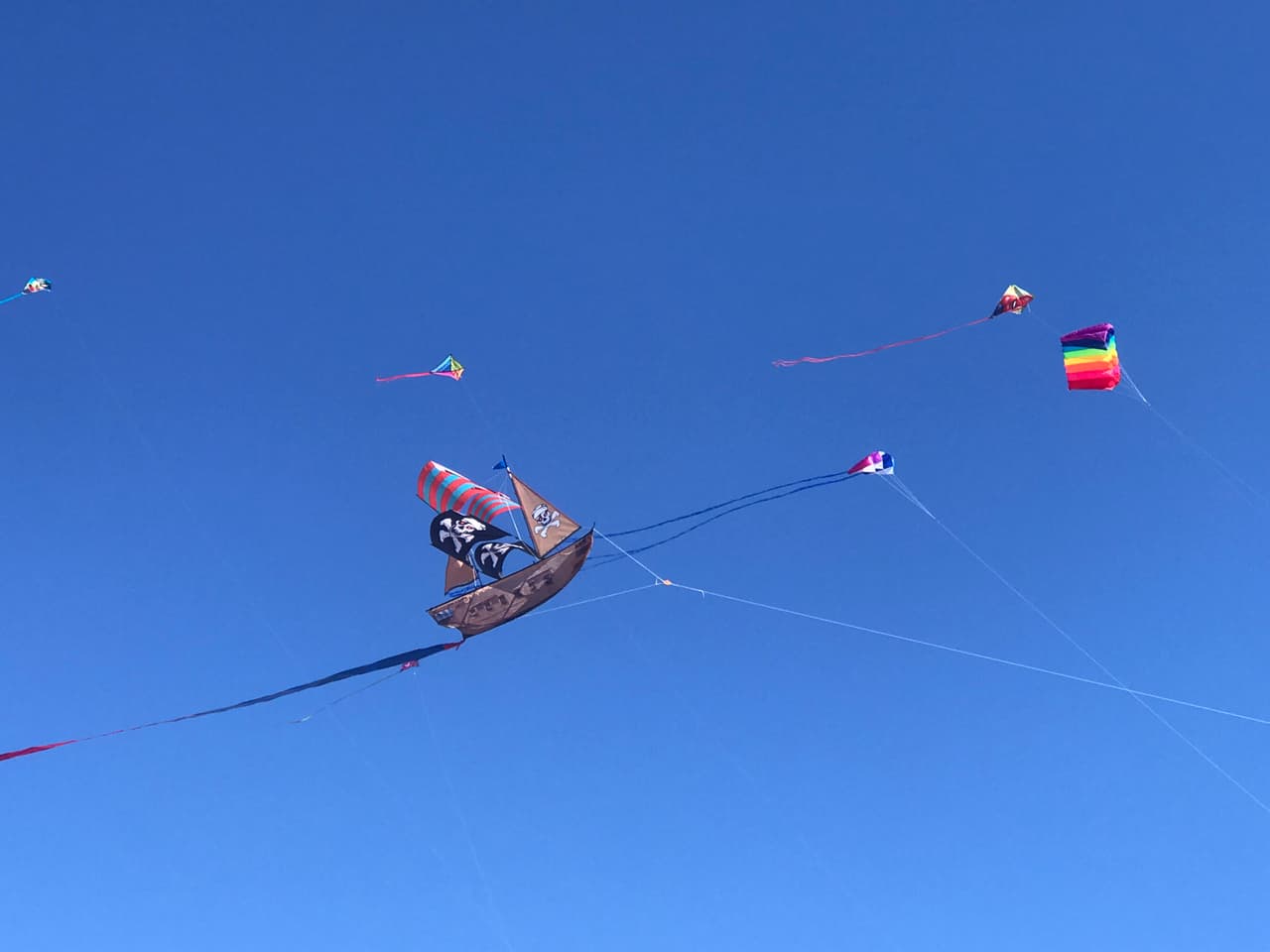 <b>San Diego</b>
<br>Sábado, 18 de mayo de 10 am - 4 pm
<br>