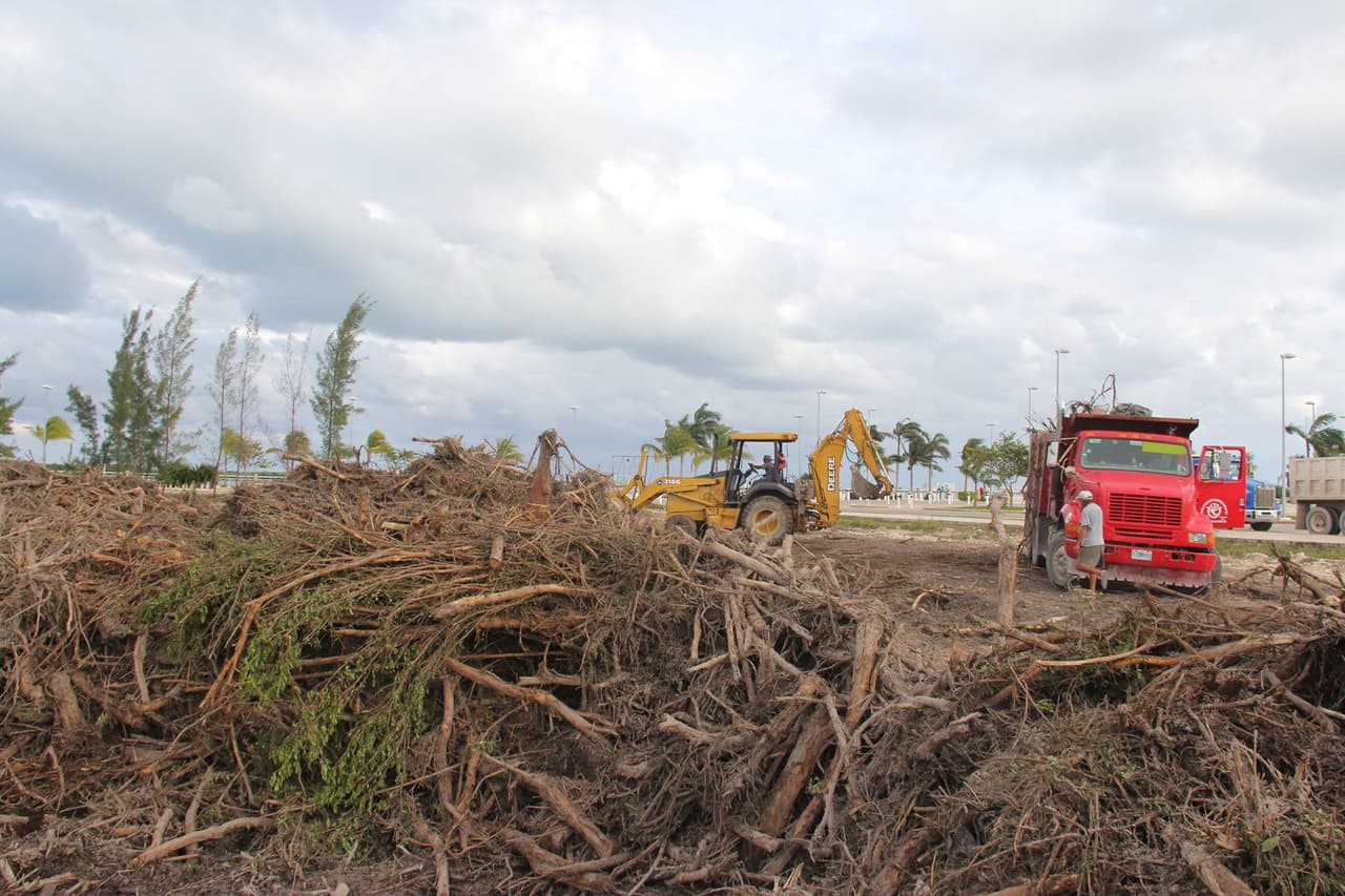 Denuncian ecocidio en Cancún, México, por construcción de proyecto hotelero