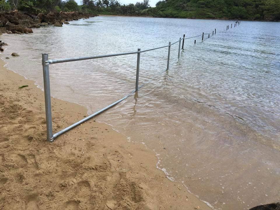 Espacio controlado donde serán liberados los manatíes en su proceso de reinserción al medio ambiente.