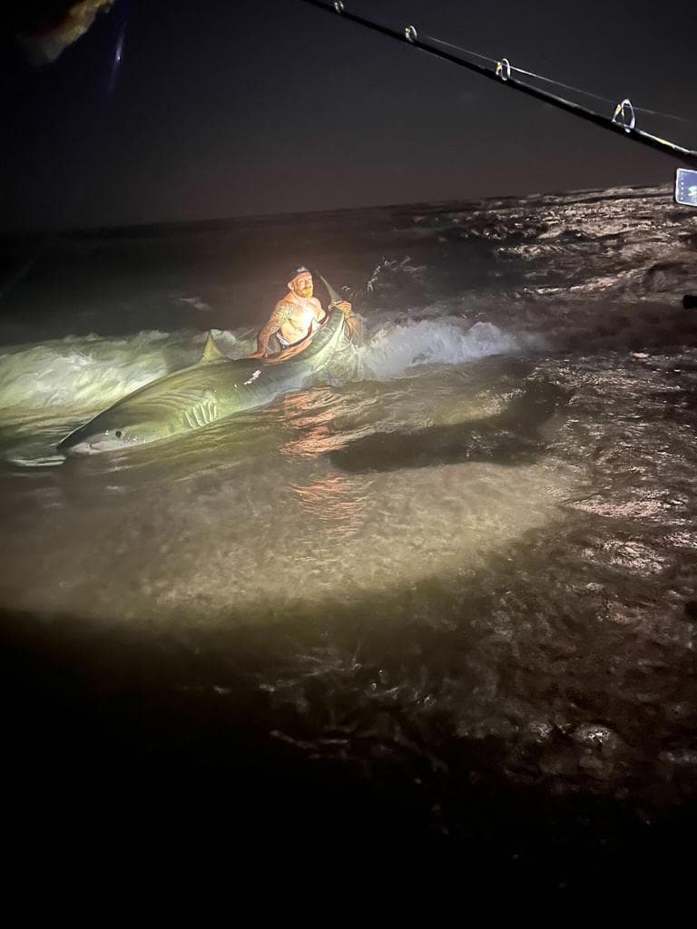 Haltermann y Hub pasan los fines de semana acampando juntos en la playa y buscando tiburones.