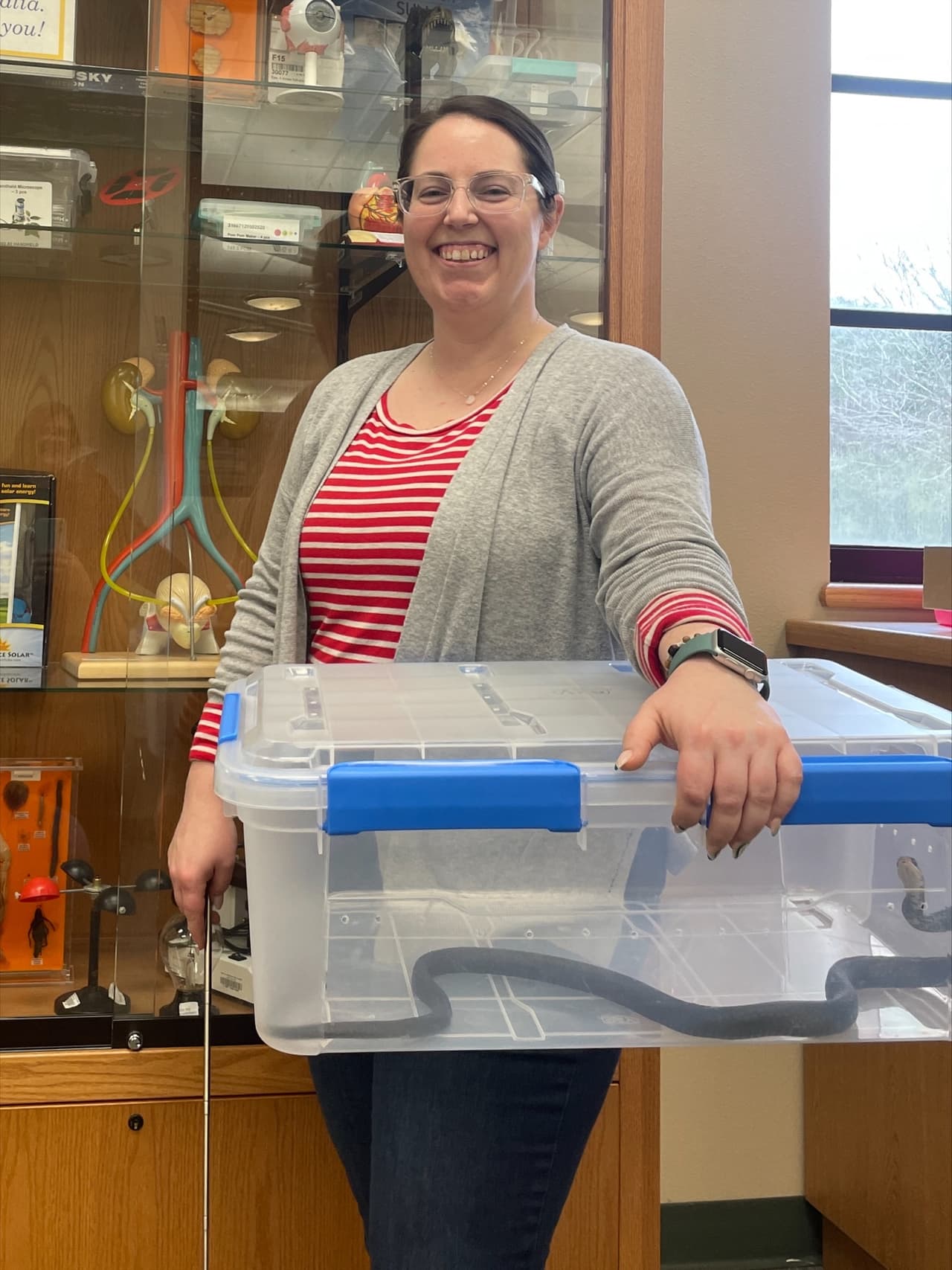 Jessica, una de las empleadas que tiene experiencia con estos reptiles, incluyendo monitores, pitones reticulados y boas, la capturó de forma segura.
<br>
<br>Y claro que supo hacerlo, pues Jessica ha manipulado hasta una pitón reticulada de 14 pies de largo que pesaba 120 libras.