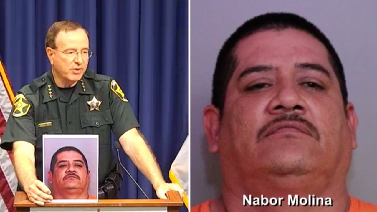 Arrestan a 16 sospechosos de pornografía infantil: les imponen más de 1,400 cargos graves 