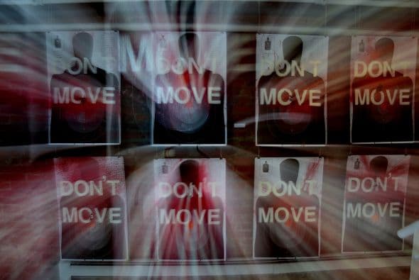 Unos ejemplos de la exposición de Ryan Piers Williams.