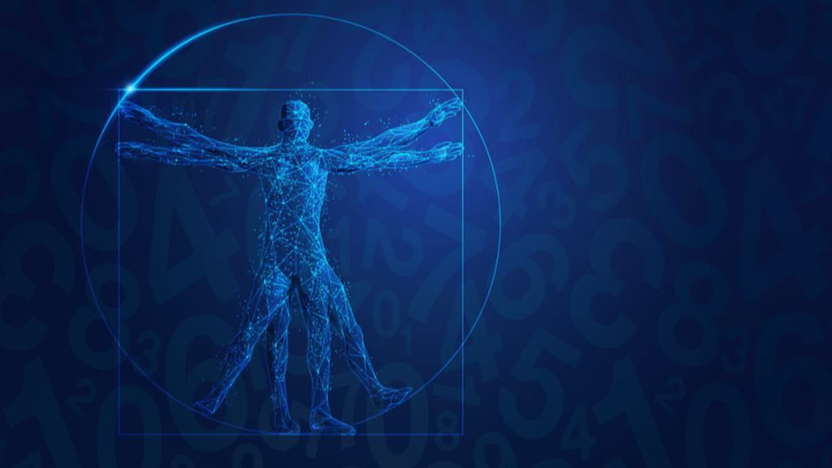 ¿Por qué encontramos bella una obra de arte, un objeto de la naturaleza, el cuerpo de una persona? ¿Qué esconden las proporciones y cuál es el secreto del llamado "número áureo o de la belleza"?