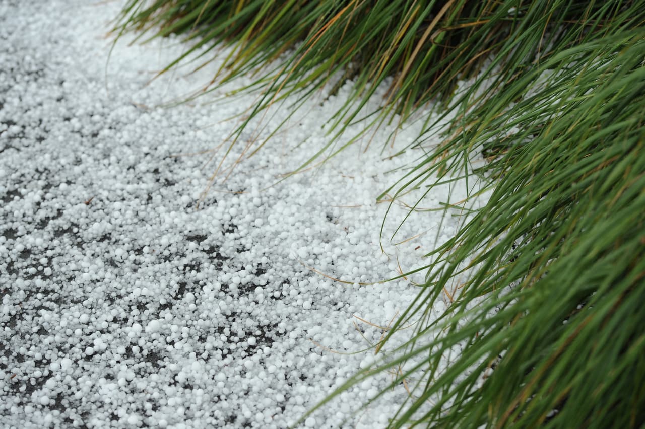 Clima severo causa estragos al centro-sur de Texas
