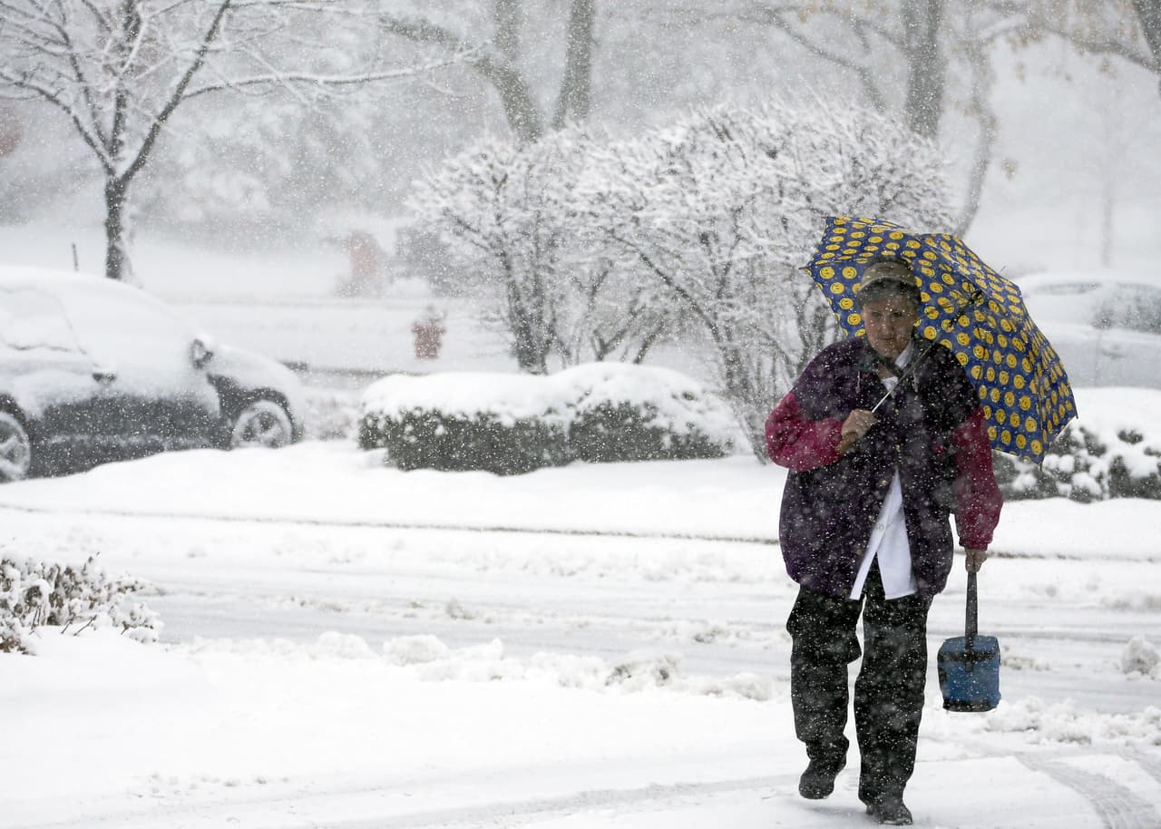Una mujer se protege con su sombrilla de la nevada del sábado en Northbrook, Illinois
